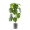 Artificial Monstera Plant with Pot, Artificial Plants for Home Decor Indoor, Faux Plants, Fake Plant Decor, Large Fake Plant, Artificial Plants Indoor, Tall Plants for Living Room Decor - 4 Feet